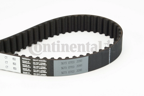 Timing Belt